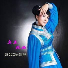 蒲公英的翅膀 蒲公英的翅膀