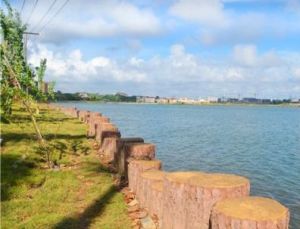 桃花湖公園 桃花湖公園