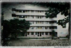 恐龍鄉國小校 恐龍鄉國小校