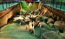 鄭國車馬坑 鄭國車馬坑