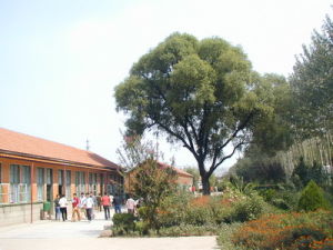 山東省高密市育才實驗中學 山東省高密市育才實驗中學