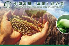 中國農墾（集團）總公司