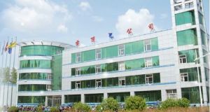 雲頂汽車部件股份有限公司