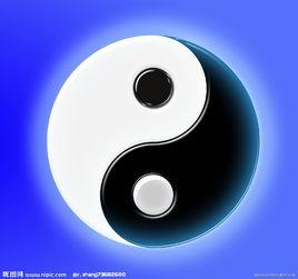 黃石市太極拳研究會 黃石市太極拳研究會