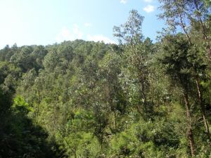 上河川村 上河川村