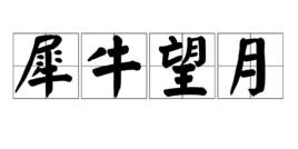 犀牛望月 犀牛望月