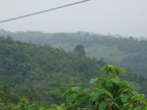 七一橋自然村 七一橋自然村