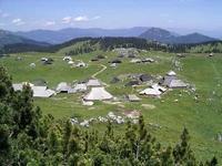 阿爾卑斯牧場 阿爾卑斯牧場