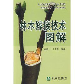 嫁接技術 嫁接技術