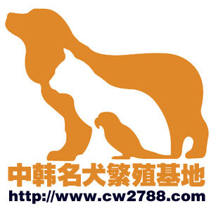 中韓名犬LOGO