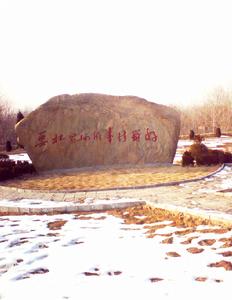 范縣舊城 范縣舊城