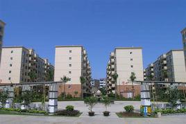 富達花園 富達花園