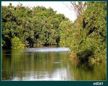 靈水景點特色圖片