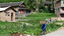 馬坡村[貴州省黔東南州岑鞏縣馬坡村]
