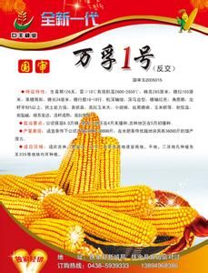 萬孚1號 萬孚1號