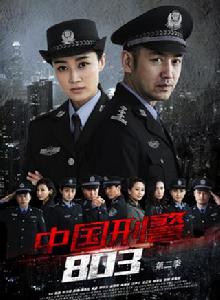中國刑警803英雄本色