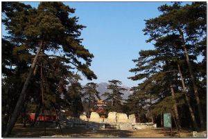 牧馬古城 牧馬古城