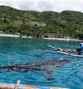 錫基霍爾省 錫基霍爾省