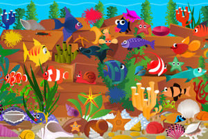 水族館大搜尋 水族館大搜尋