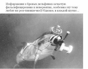 蘇聯軍用海豚