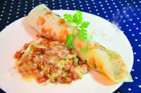 豬肉蔬菜卷餅 豬肉蔬菜卷餅