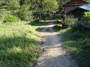 西山厥菜村 西山厥菜村