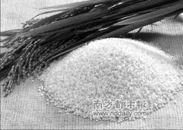 轉基因大米 轉基因大米