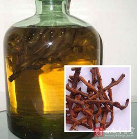 側柏葉酒 側柏葉酒