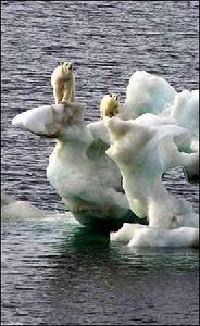 （圖）氣候變化--需要全球合作