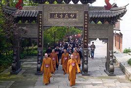 普陀山之春 普陀山之春