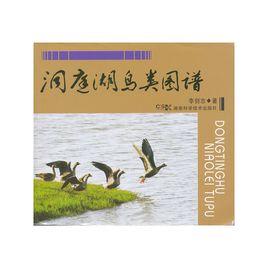 洞庭湖鳥類圖譜 洞庭湖鳥類圖譜