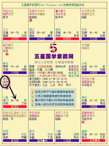 紫貪同宮 紫貪同宮