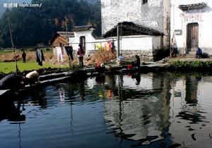 月池[韓愈詩詞]