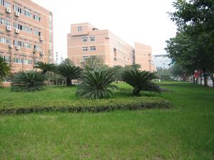 成都奔騰財會電算培訓中心