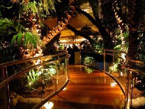 《酒吧艷遇精靈般的美》