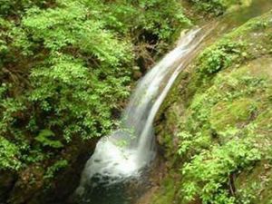 神農架宋洛風光 神農架宋洛風光