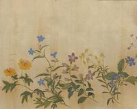 塞外花卉圖 塞外花卉圖