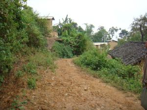 曼蘭自然村 曼蘭自然村