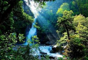 湖南湘江源國家森林公園 湖南湘江源國家森林公園