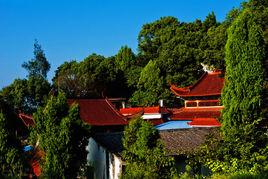 出家[宗教詞語]