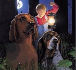 紅色羊齒草的故鄉