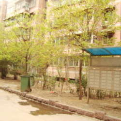 鳳凰山莊-金鳳苑 鳳凰山莊-金鳳苑