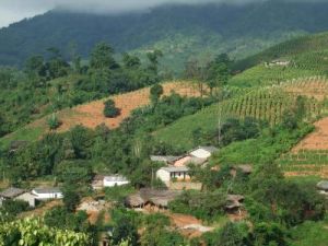 那弄自然村 那弄自然村