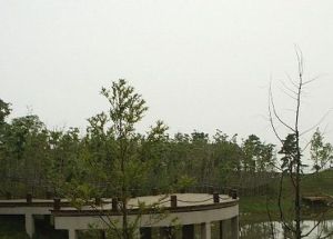 莊子釣魚台 莊子釣魚台