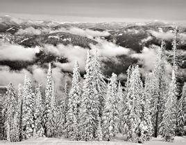 最後的冬天 最後的冬天