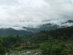 大別山反清剿戰役