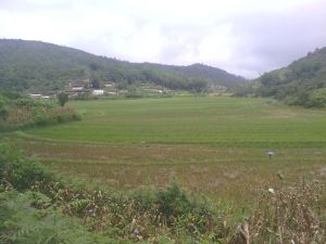 那棵落自然村 那棵落自然村