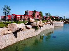 東港[山東省日照市東港區]