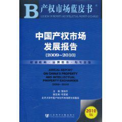 中國產權市場發展報告