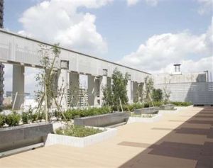 愛知淑德大學 愛知淑德大學